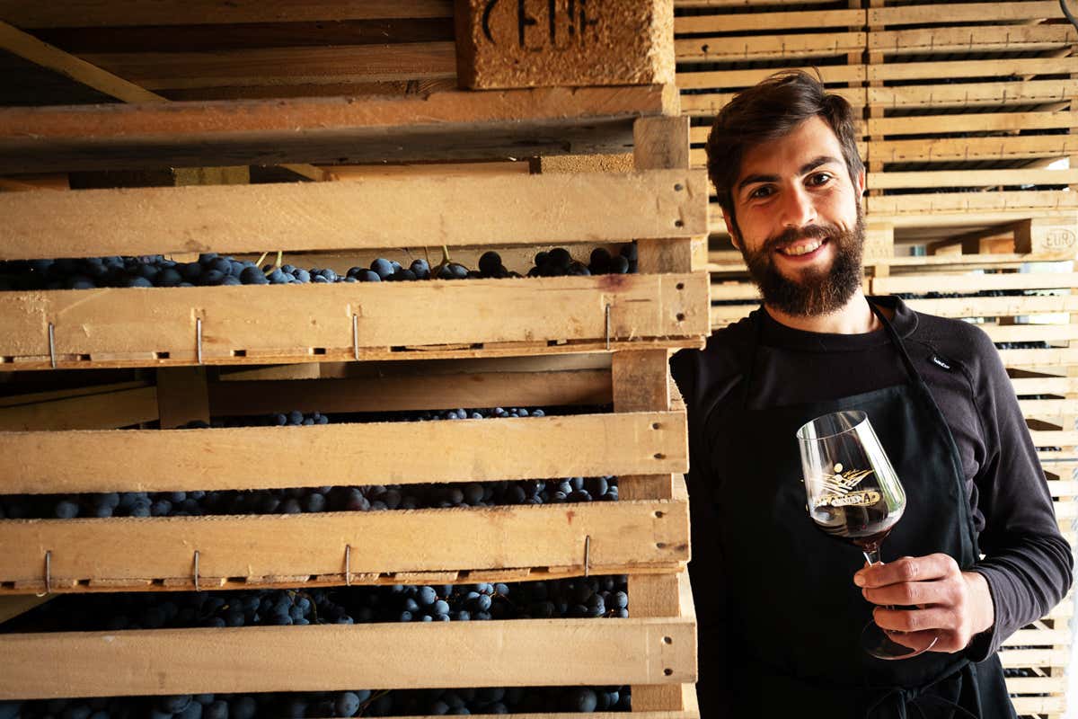 L'Amarone ha troppo alcol? «Si può rimediare senza cambiare il disciplinare»